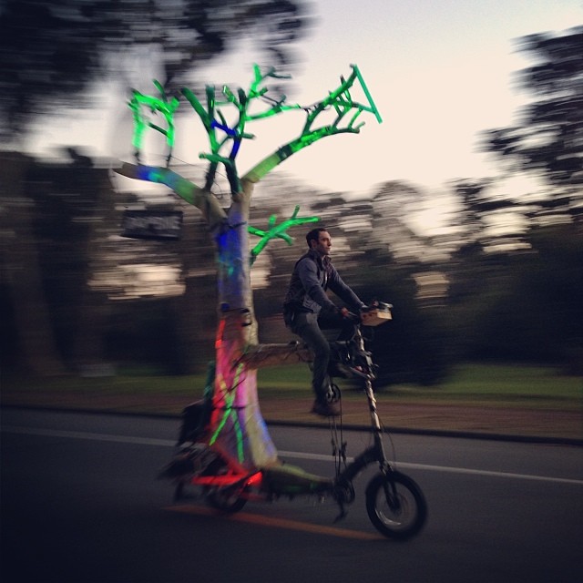 This 15 foot tree took us to the beach for a Christmas bonfire.